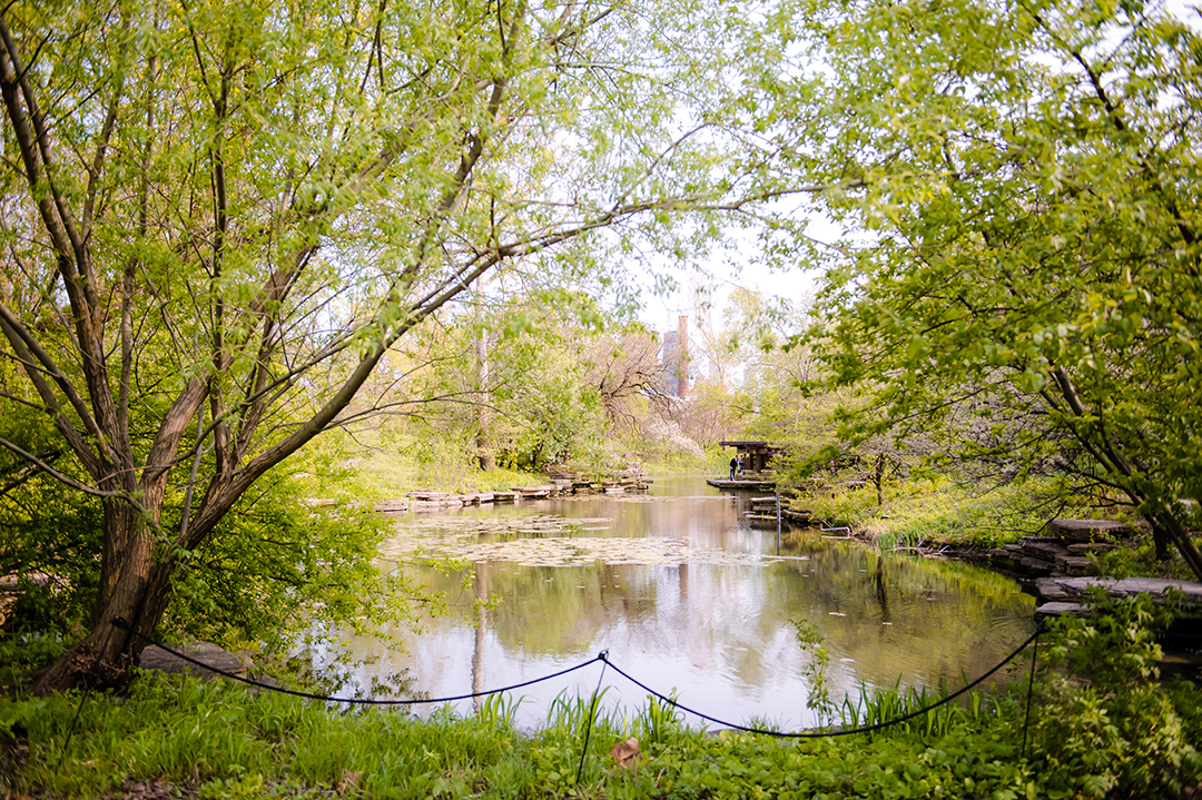 Alfred Caldwell Lily Pond during a spring wedding