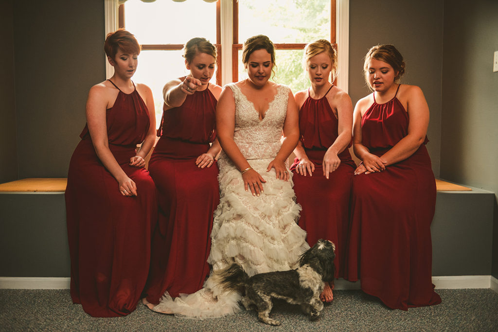 a group of bridesmaids trying to get the brides dog out of the picture