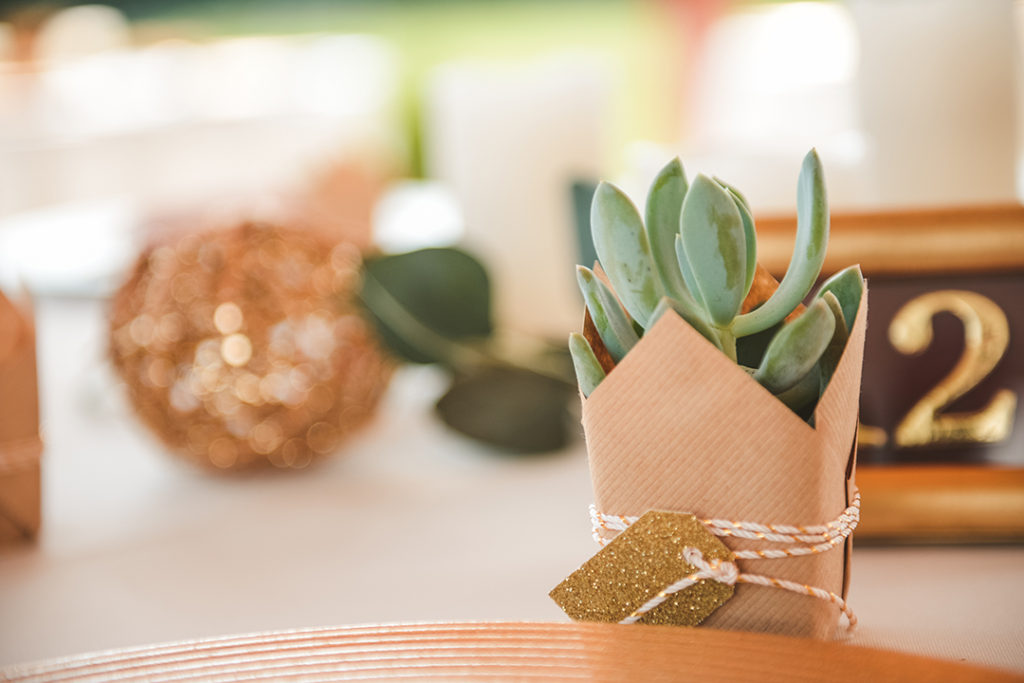 a close up of a succulent plant at a Olympia Fields wedding reception