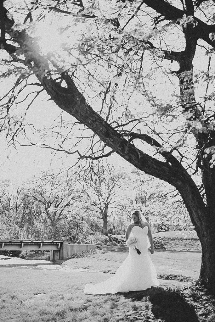 a sun flare shining through a large tree as the bride fixes her dress at its base