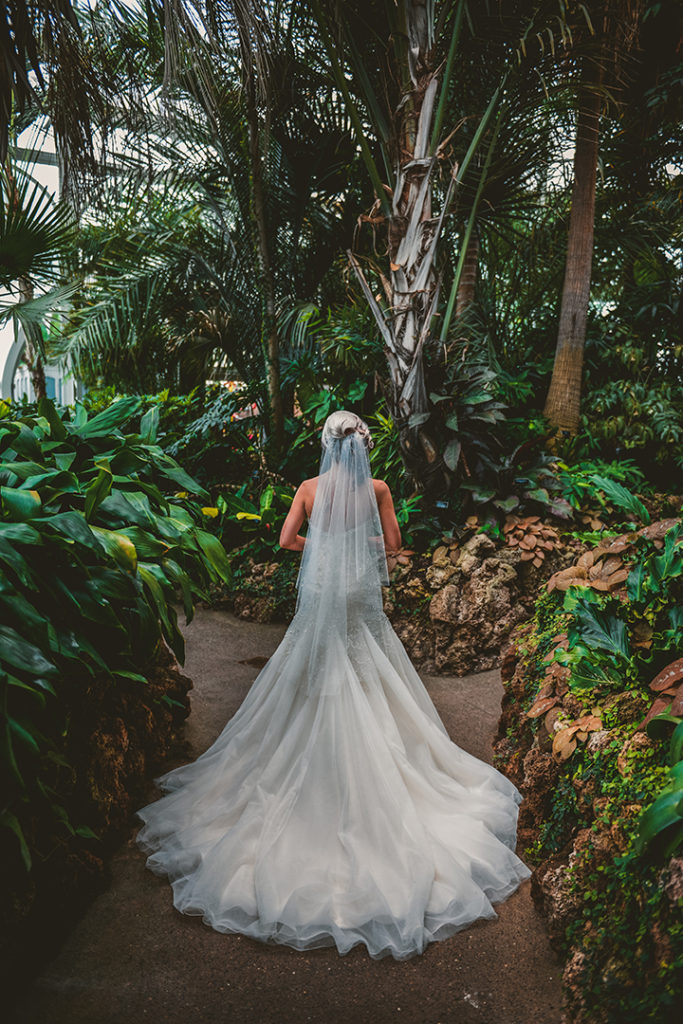 bride showing off her train at the Phipps Conservatory