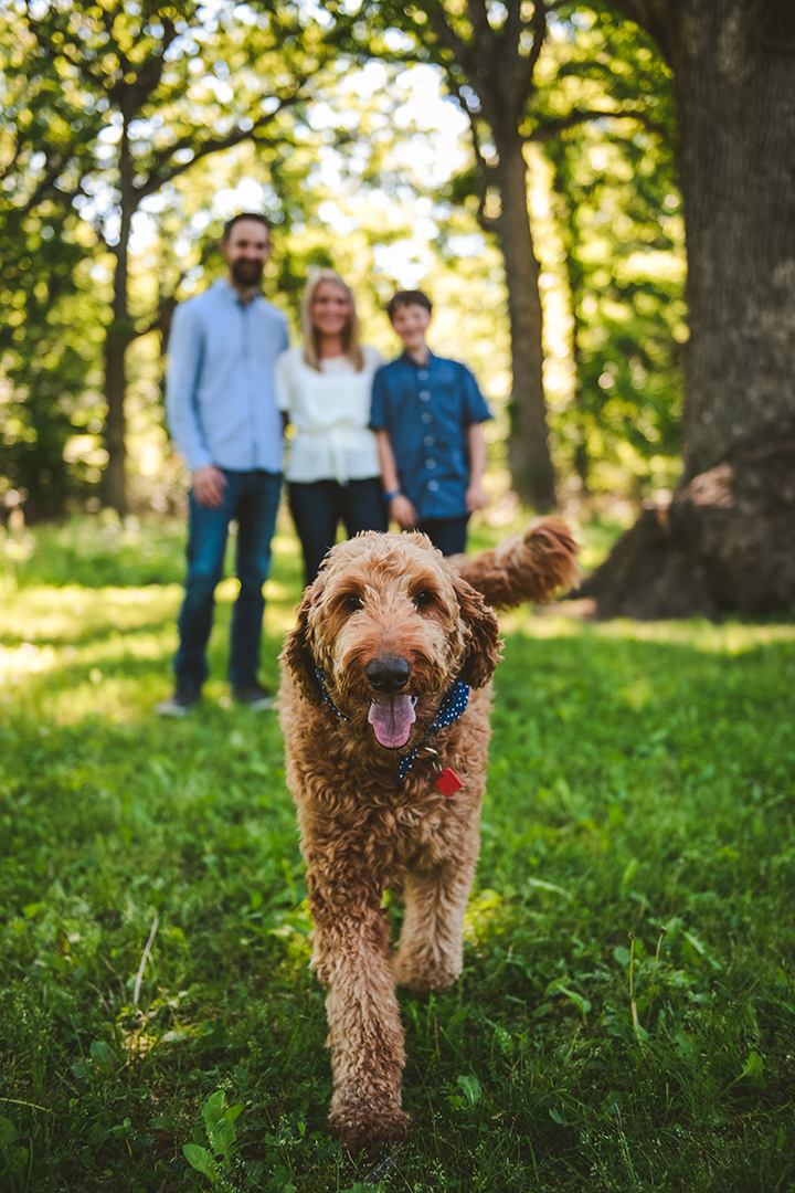 a dog running at the camera while his family stands in the background