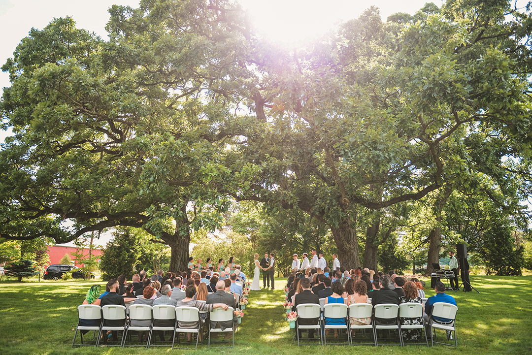 shining sun through two large oak trees with a large group of friends and families watching a bride and groom get married