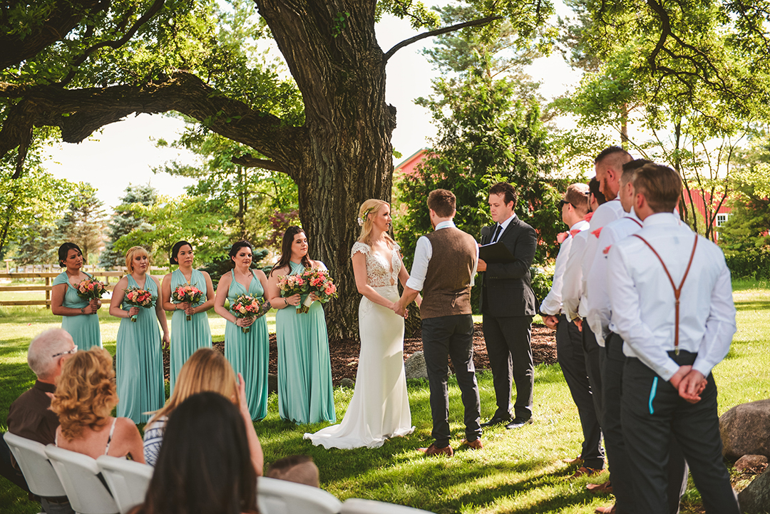 the full bridal party watching the bride and groom getting married under large oak trees in Woodstock IL