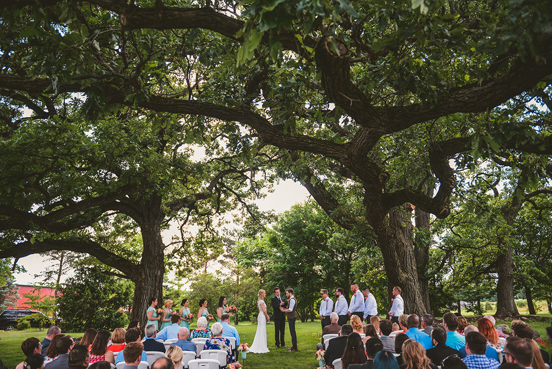 a wedding taking place under two large maple trees at the All Season Orchard in Woodstock