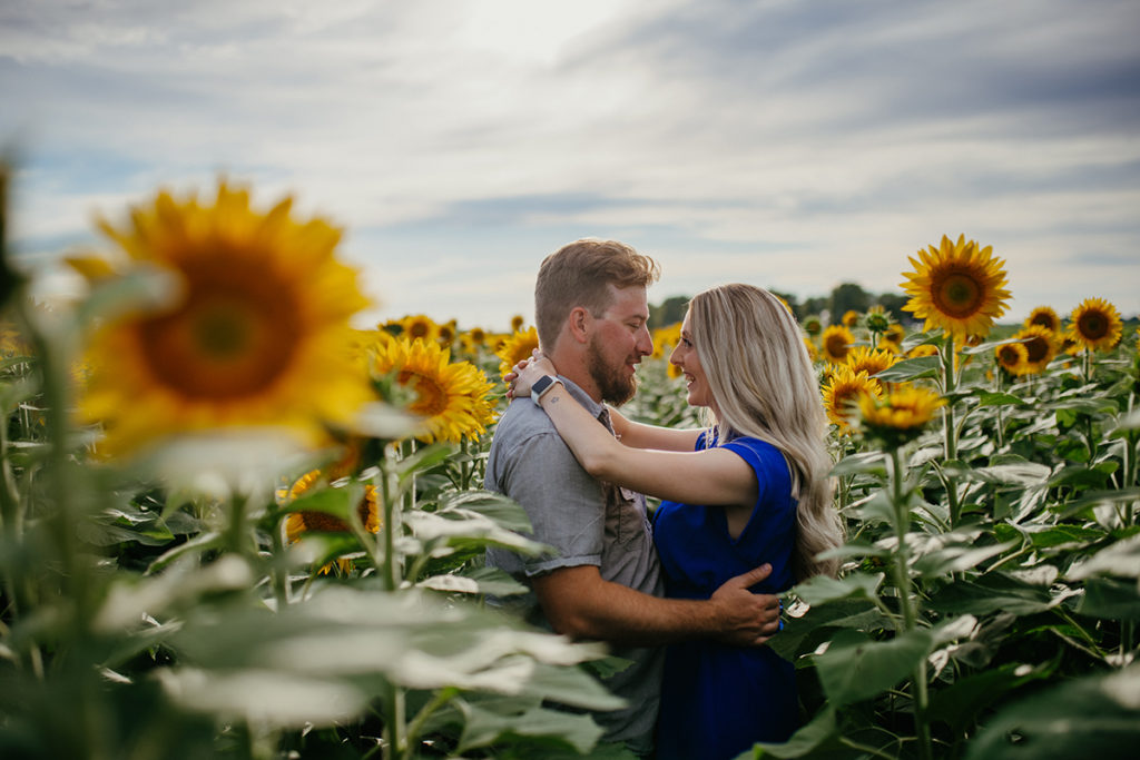 a engaged couple laughing as they stand close in a field of sunflowers in the fall
