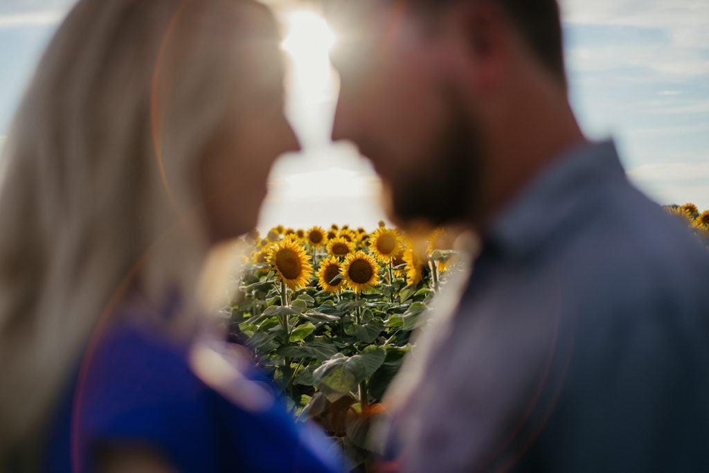 a engaged couple standing with their heads together in front of a field of sunflowers