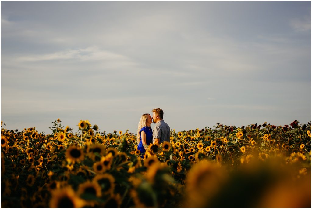 a man and a woman kissing in a field of sunflowers on a cool fall evening